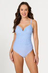 Micro Stripe Isla C / D Cup Underwire One Piece Swimsuit